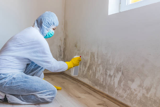 Bathroom Mold Removal assessment in Bellevue bathroom